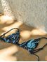 Cia.Maritima_V260026 -1-